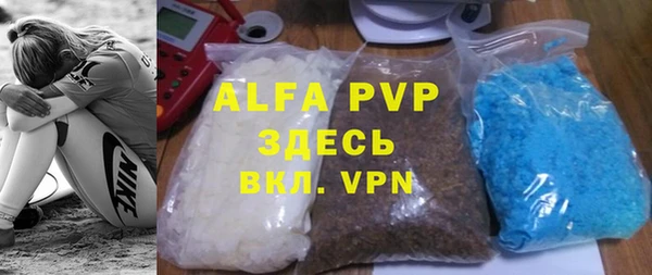 сатива Новокубанск