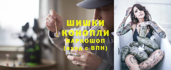 альфа пвп Новодвинск