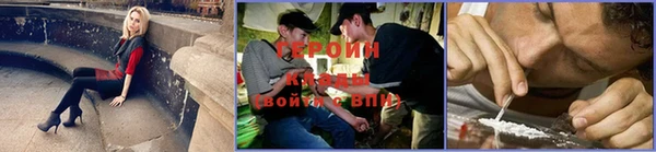мдпв Анива