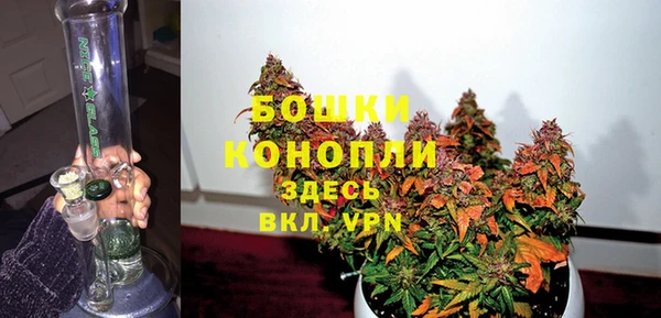 мдпв Анива