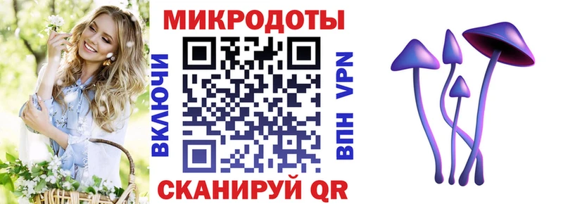блэк спрут рабочий сайт  Темников  Галлюциногенные грибы Psilocybe  продажа наркотиков 